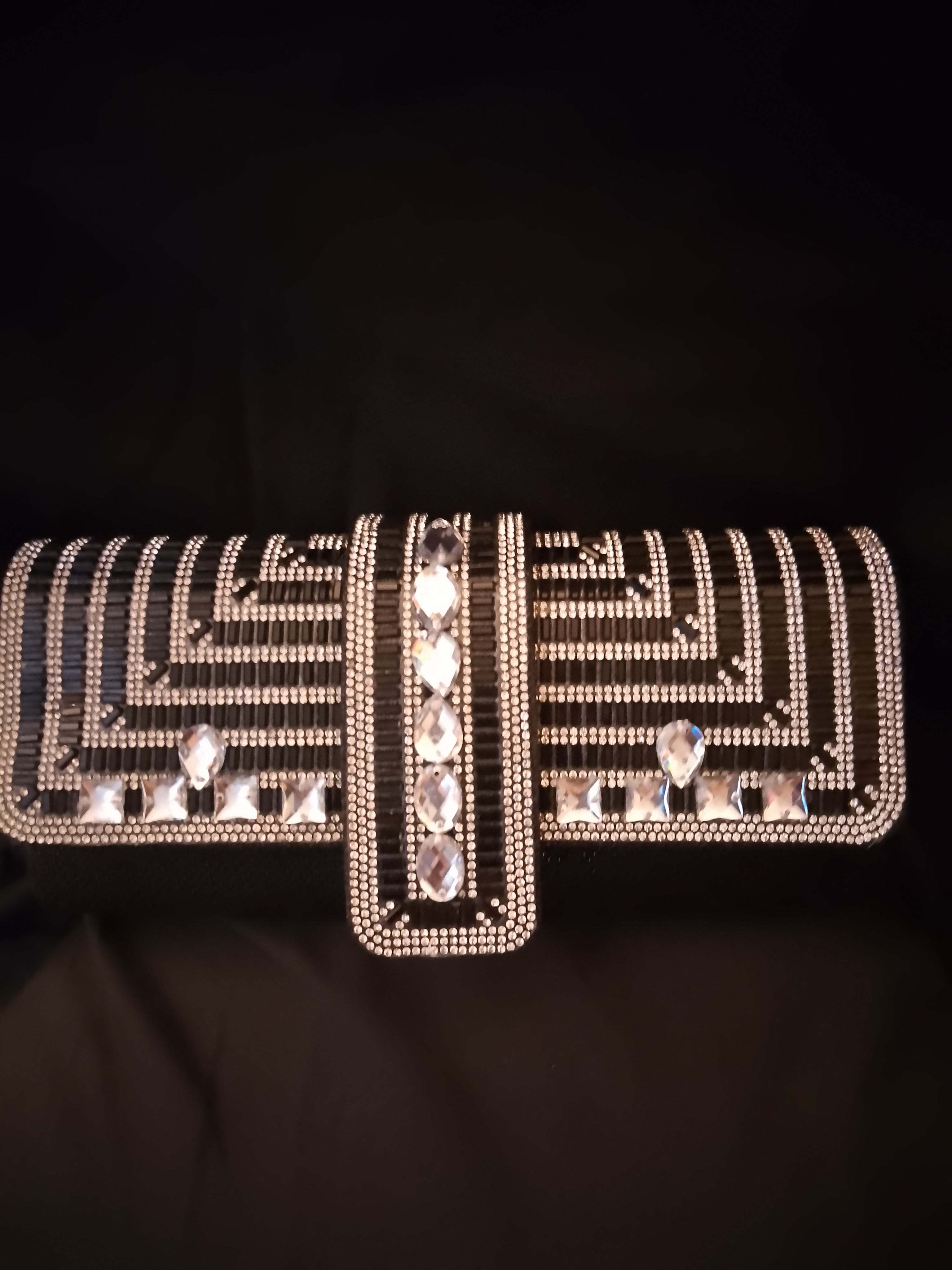 Glided Strut Hand Bag Clutch