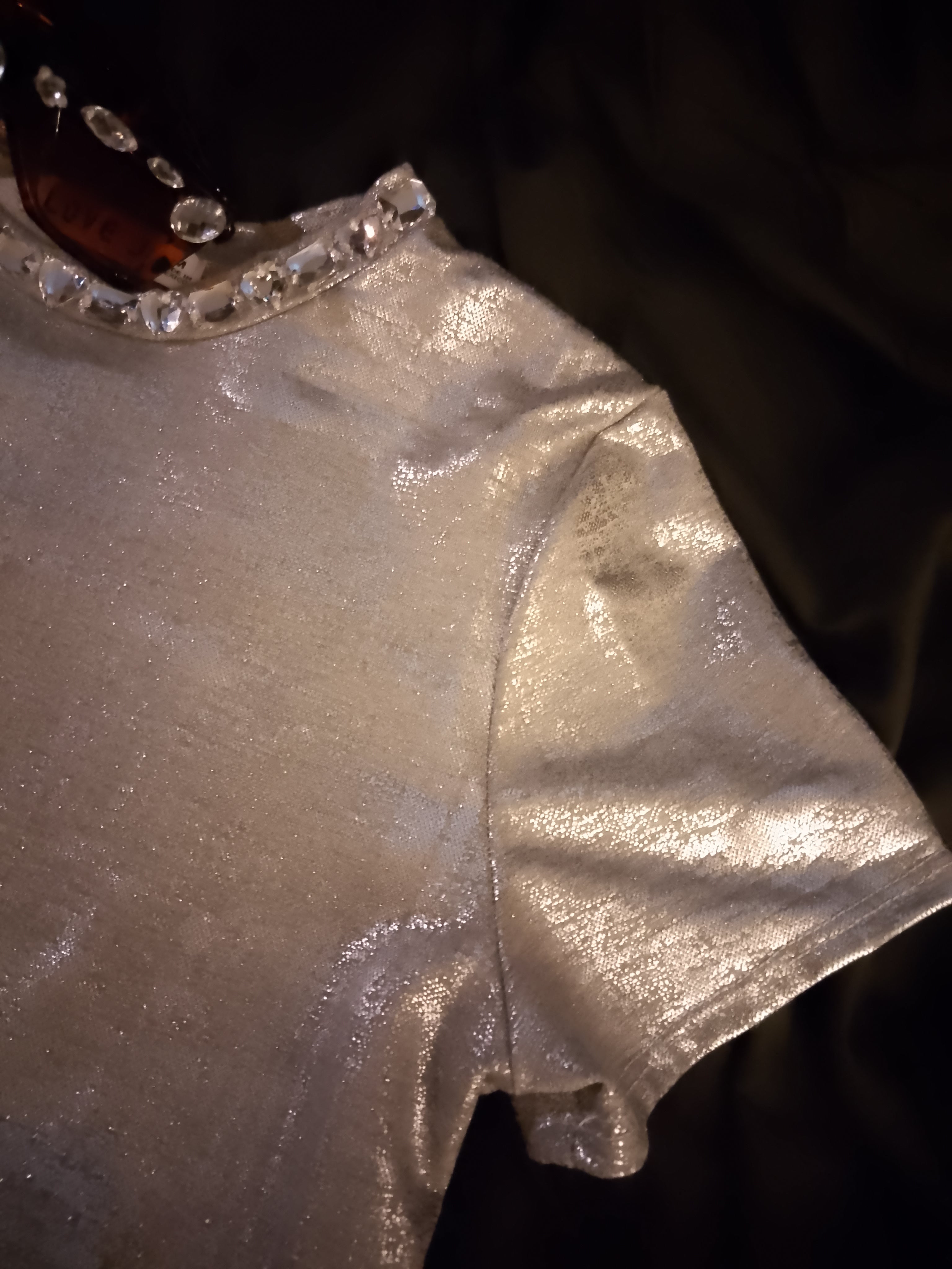 Chrome Aura Crop Top