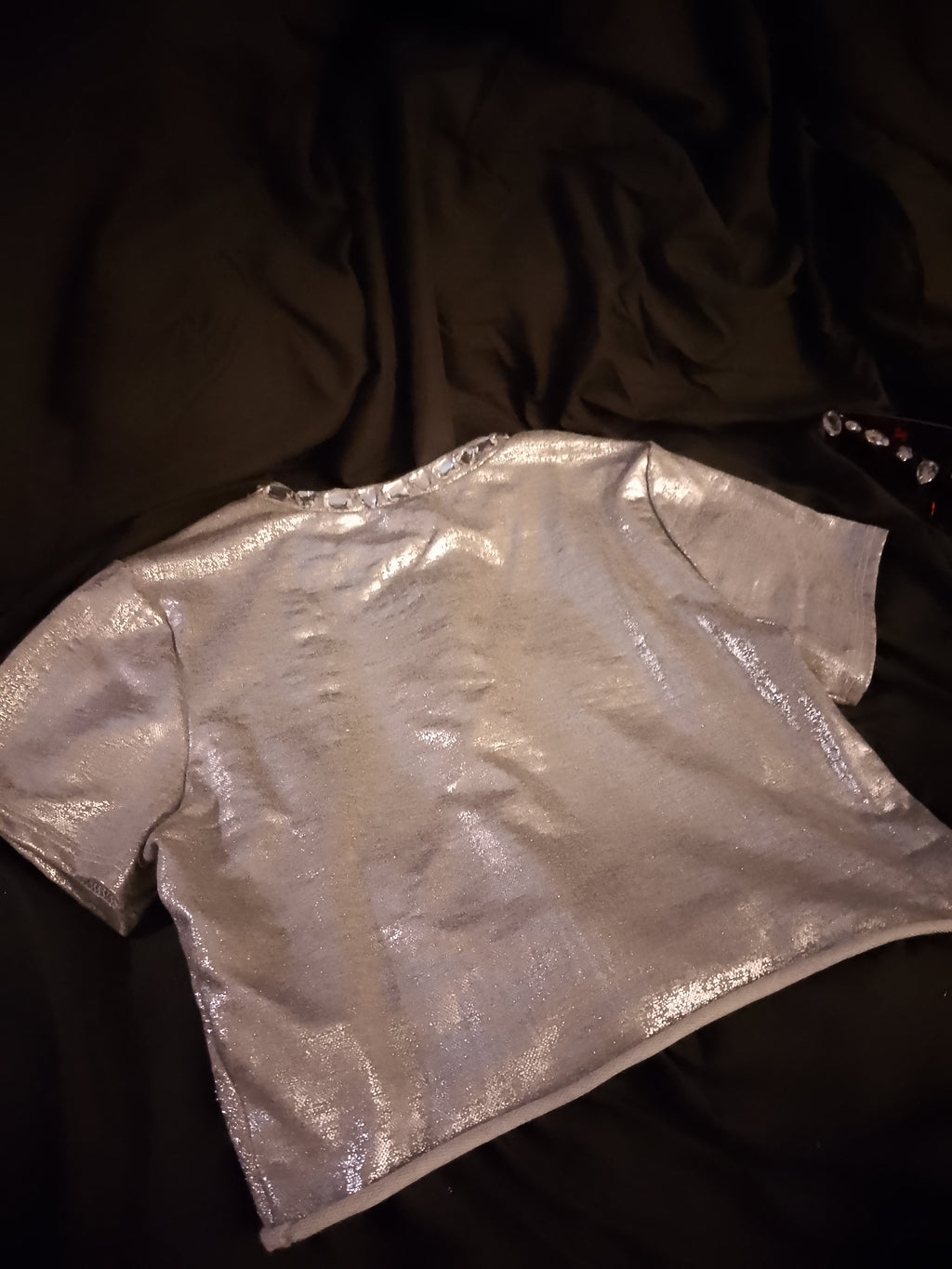 Chrome Aura Crop Top