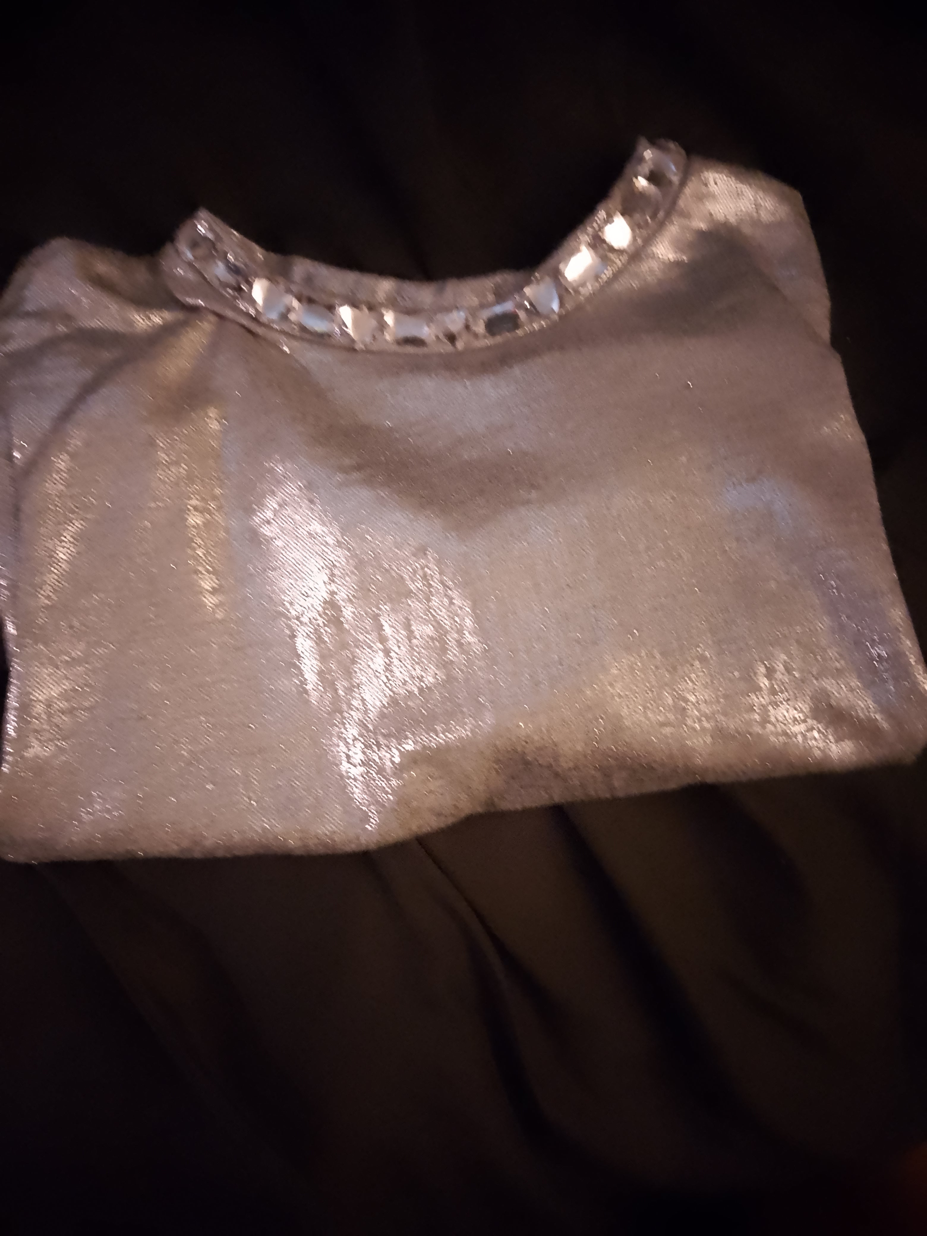 Chrome Aura Crop Top