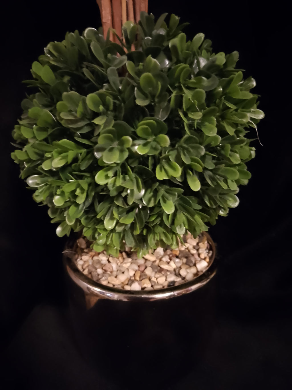 Botanical Cylinder Double Tree Bush Planter