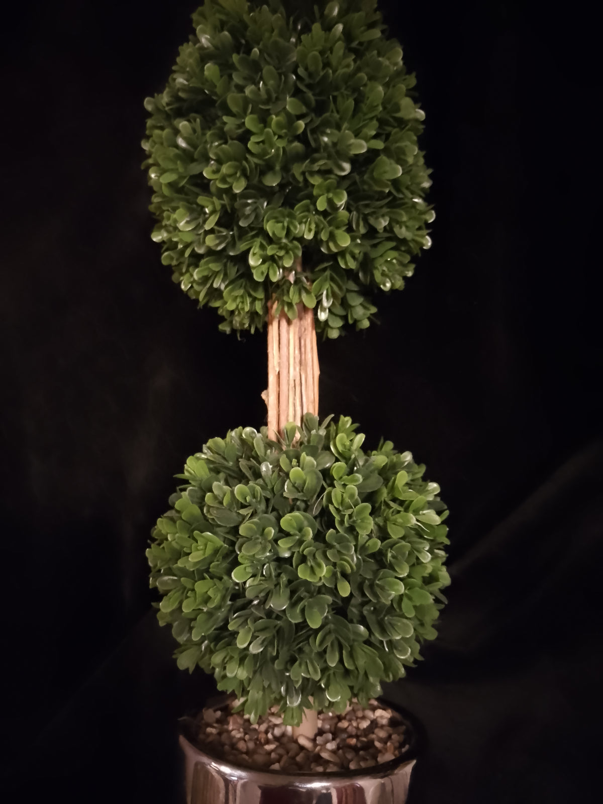 Botanical Cylinder Double Tree Bush Planter