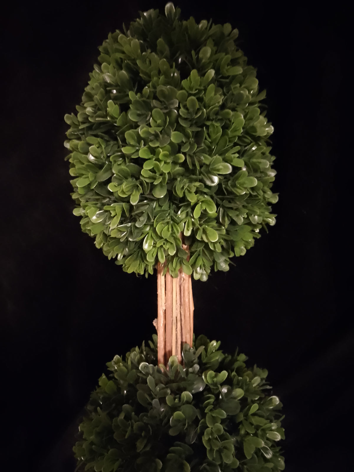 Botanical Cylinder Double Tree Bush Planter