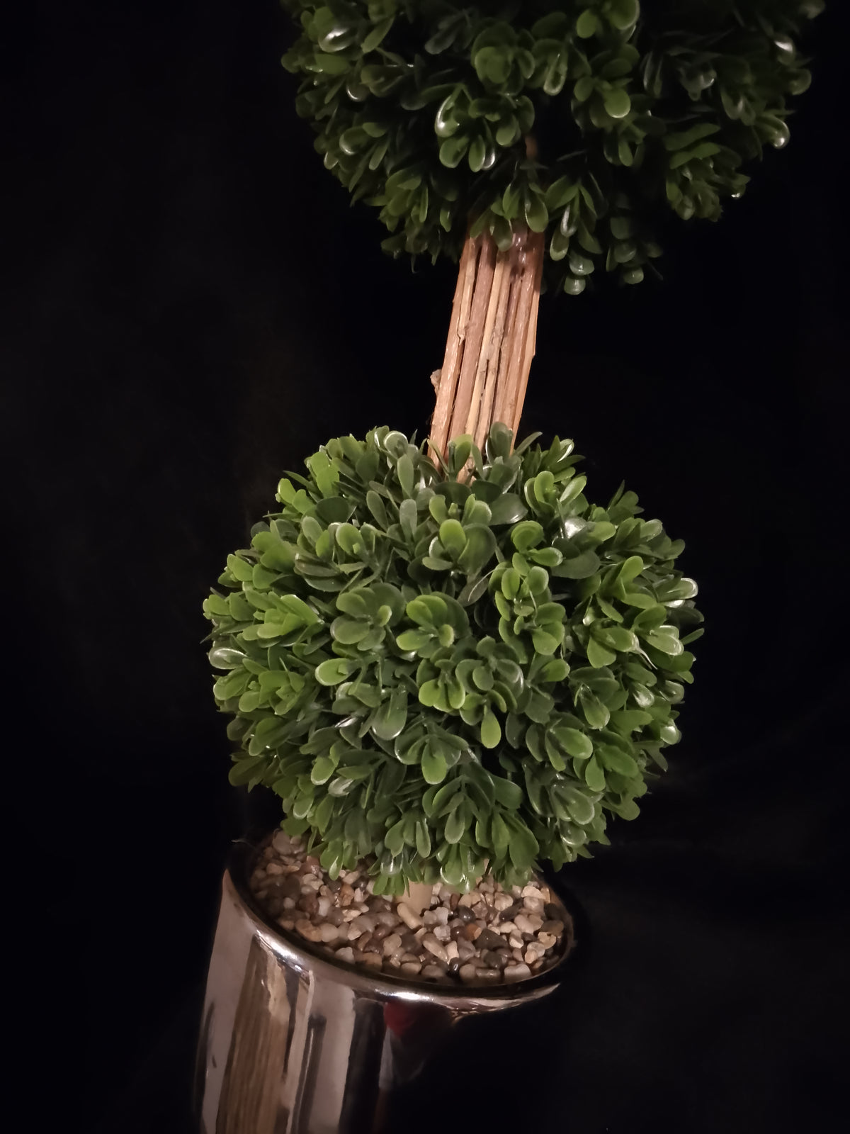 Botanical Cylinder Double Tree Bush Planter