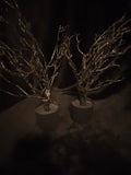 Branch Of Expression Decorative Tree Set