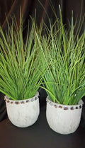 Lustre Greenery Pot Grass Planter Set