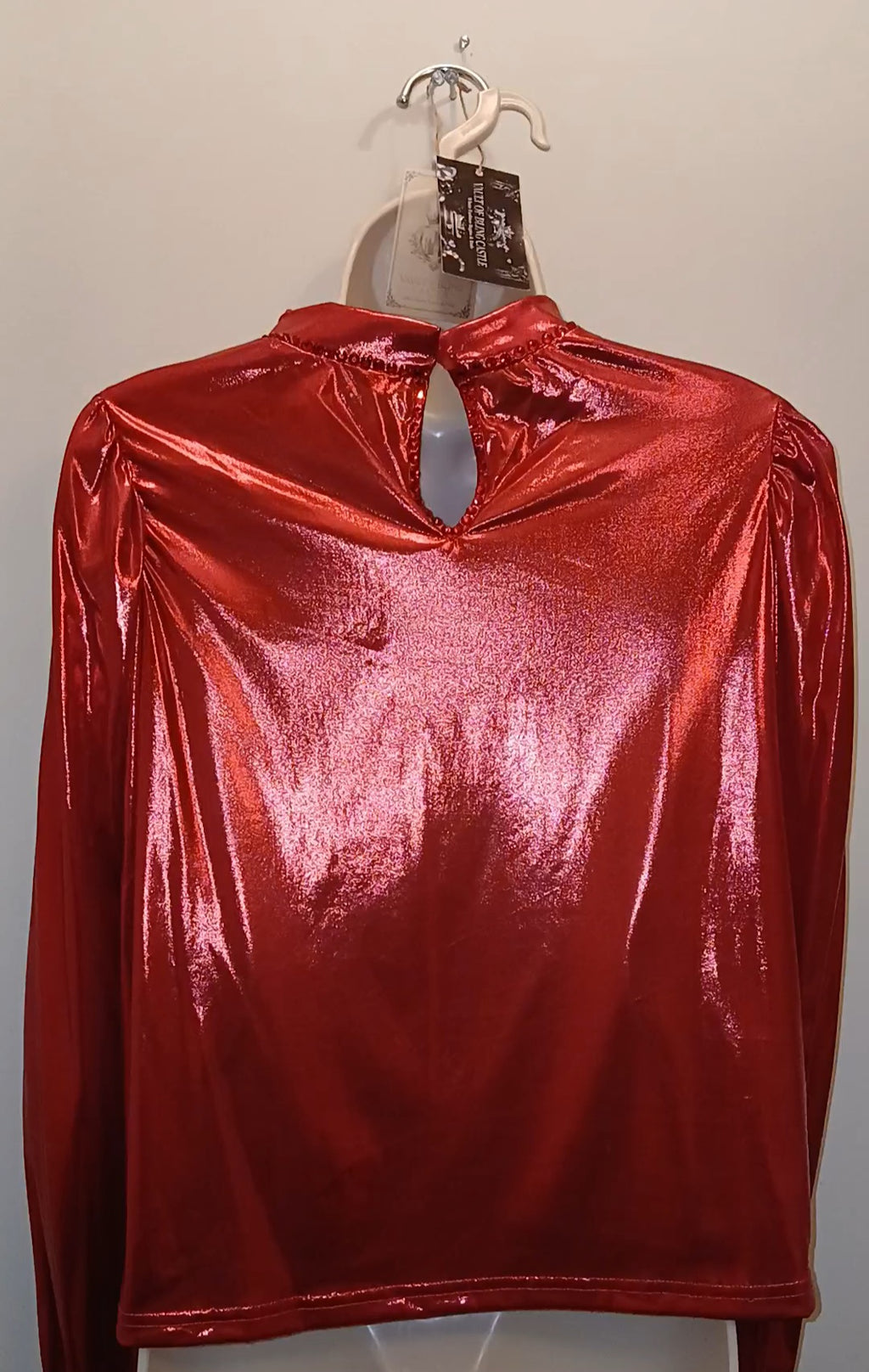 Crimson Red Panorama Women's Long Sleeve Blouse