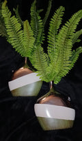 Ceramic & Metallic Vase Artificial Fern Plant Set