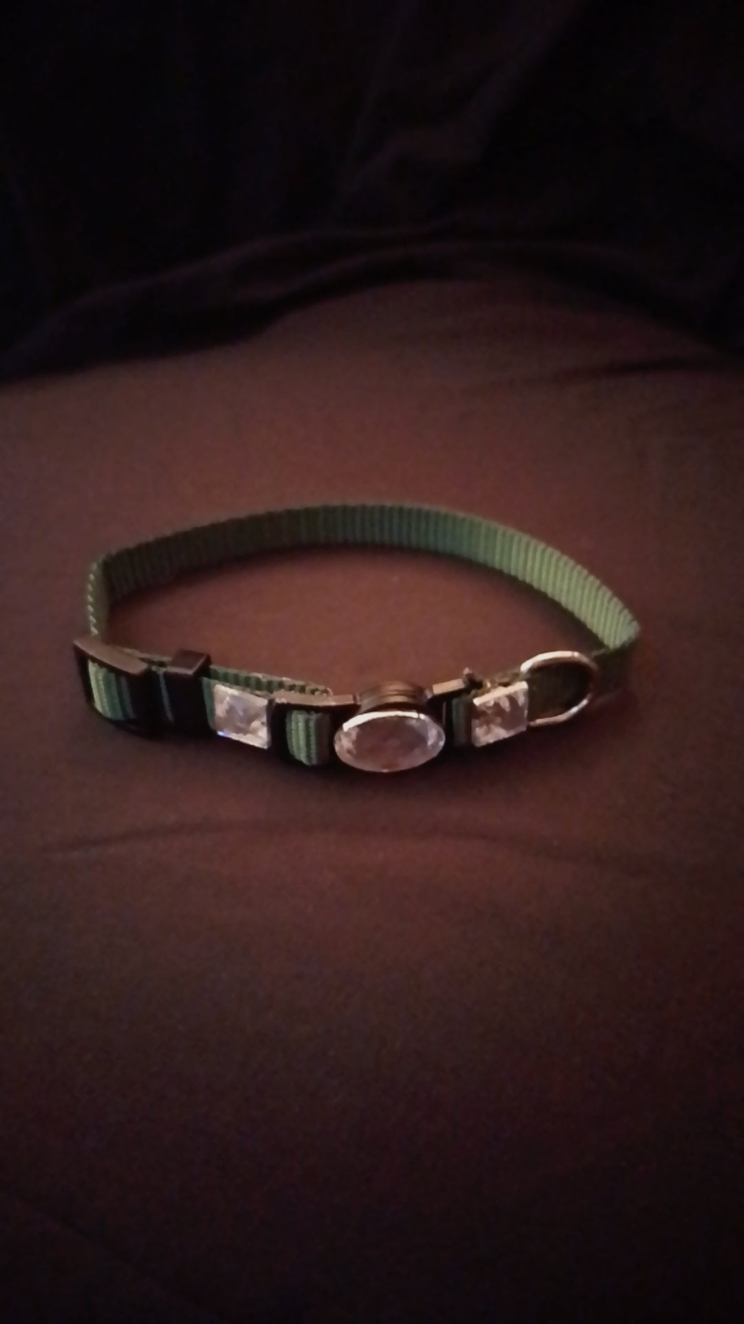 Crowned Walk  Gleam Jeweled Pet Collars
