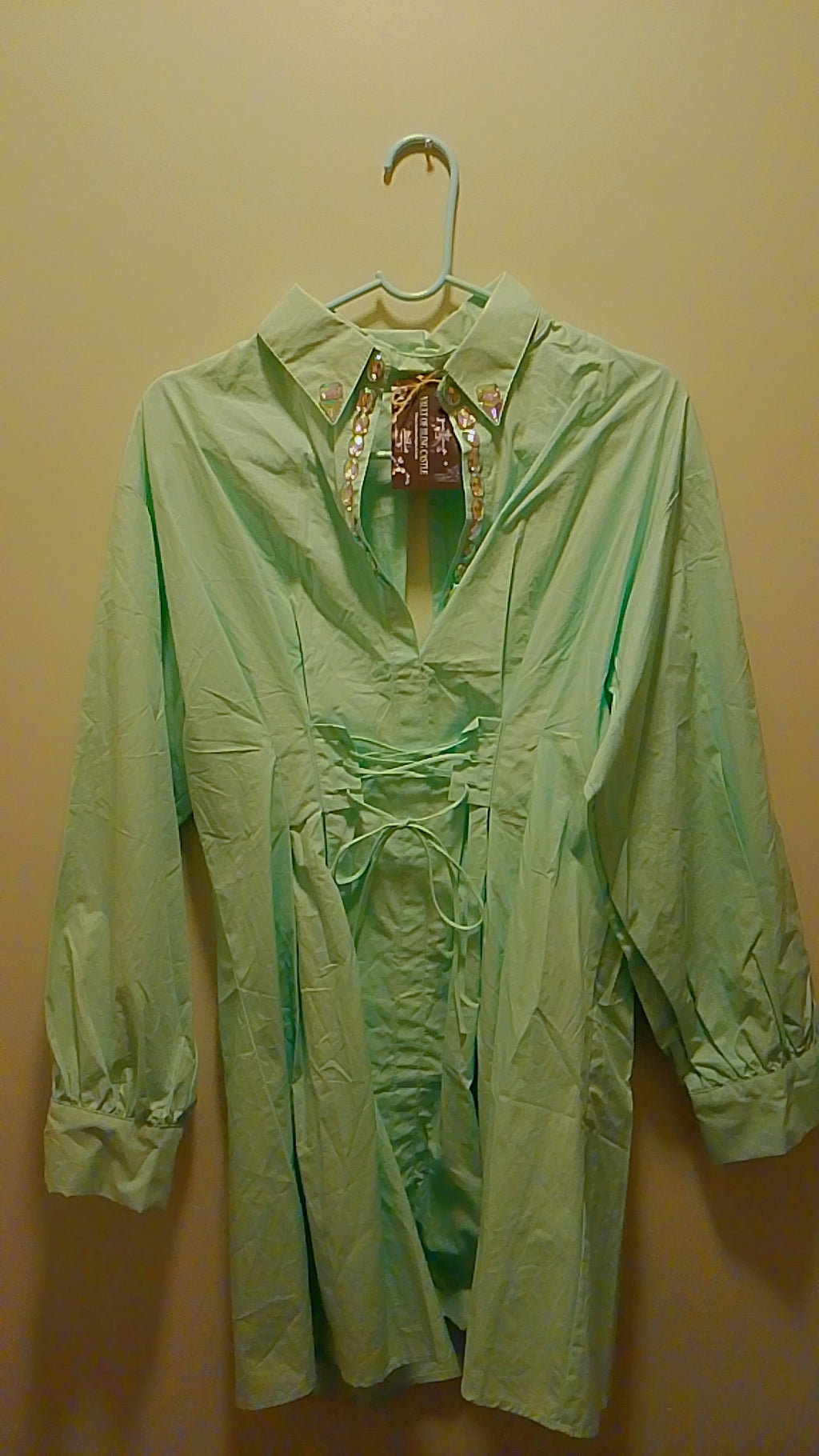 Pistachio Mint Green Caledon Pathway Blouse Dress