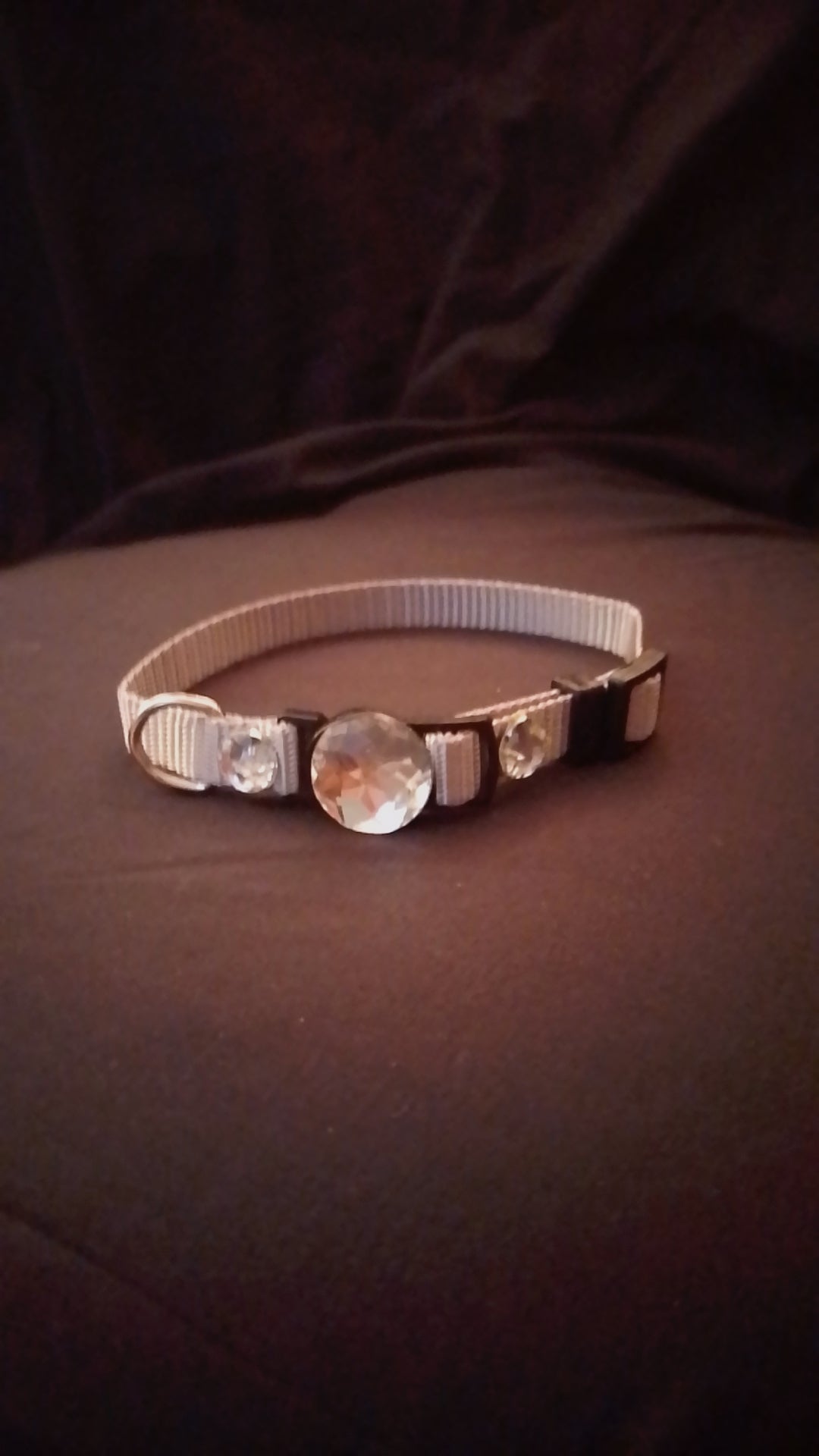 Crowned Walk  Gleam Jeweled Pet Collars