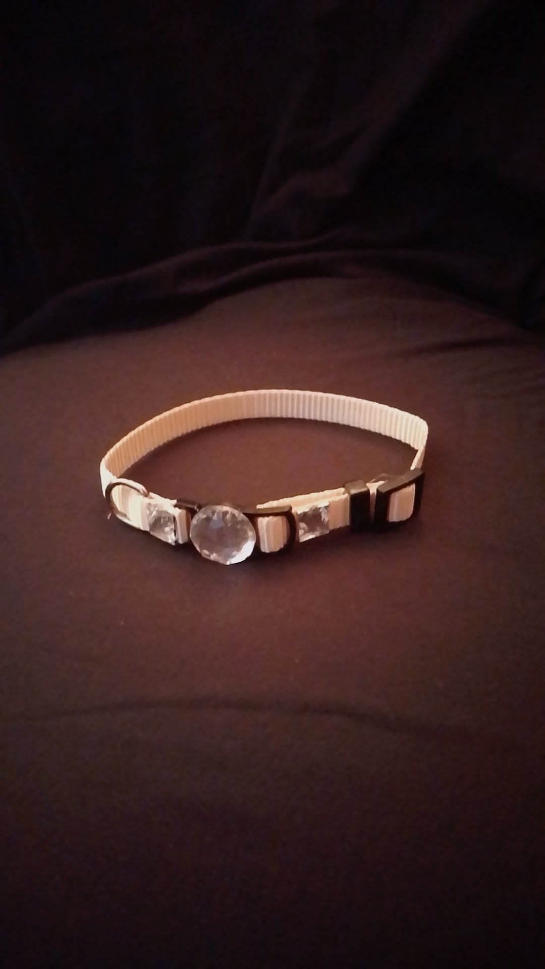 Crowned Walk  Gleam Jeweled Pet Collars