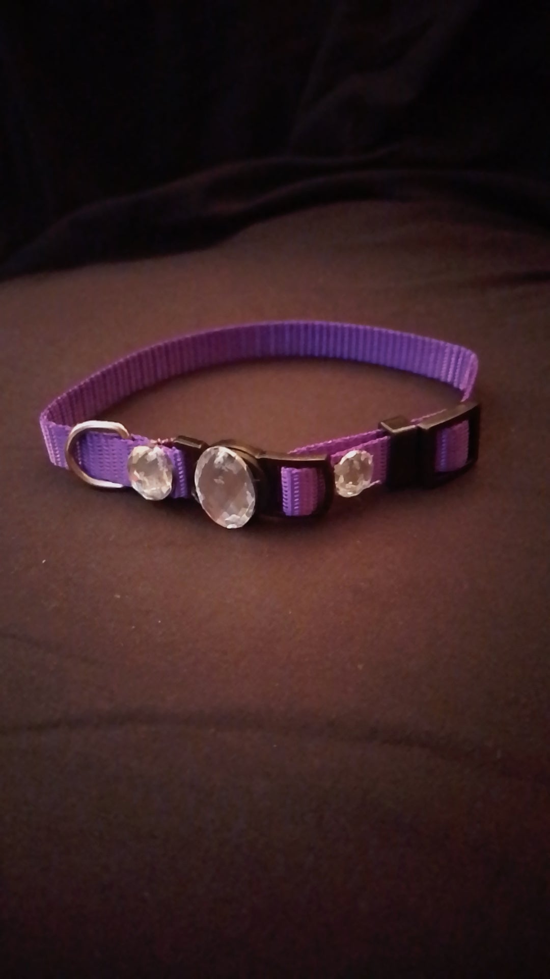 Crowned Walk  Gleam Jeweled Pet Collars