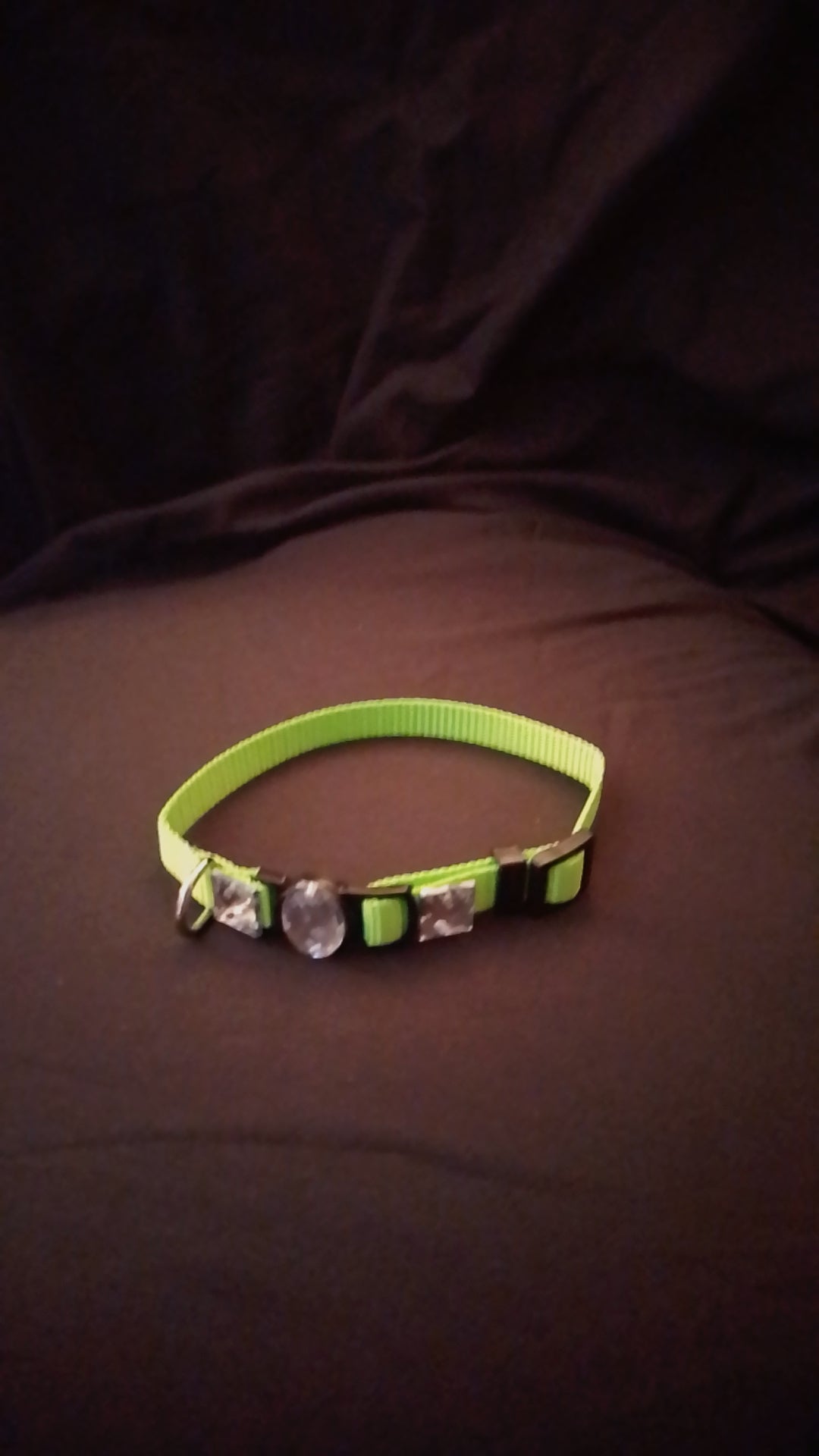 Crowned Walk  Gleam Jeweled Pet Collars
