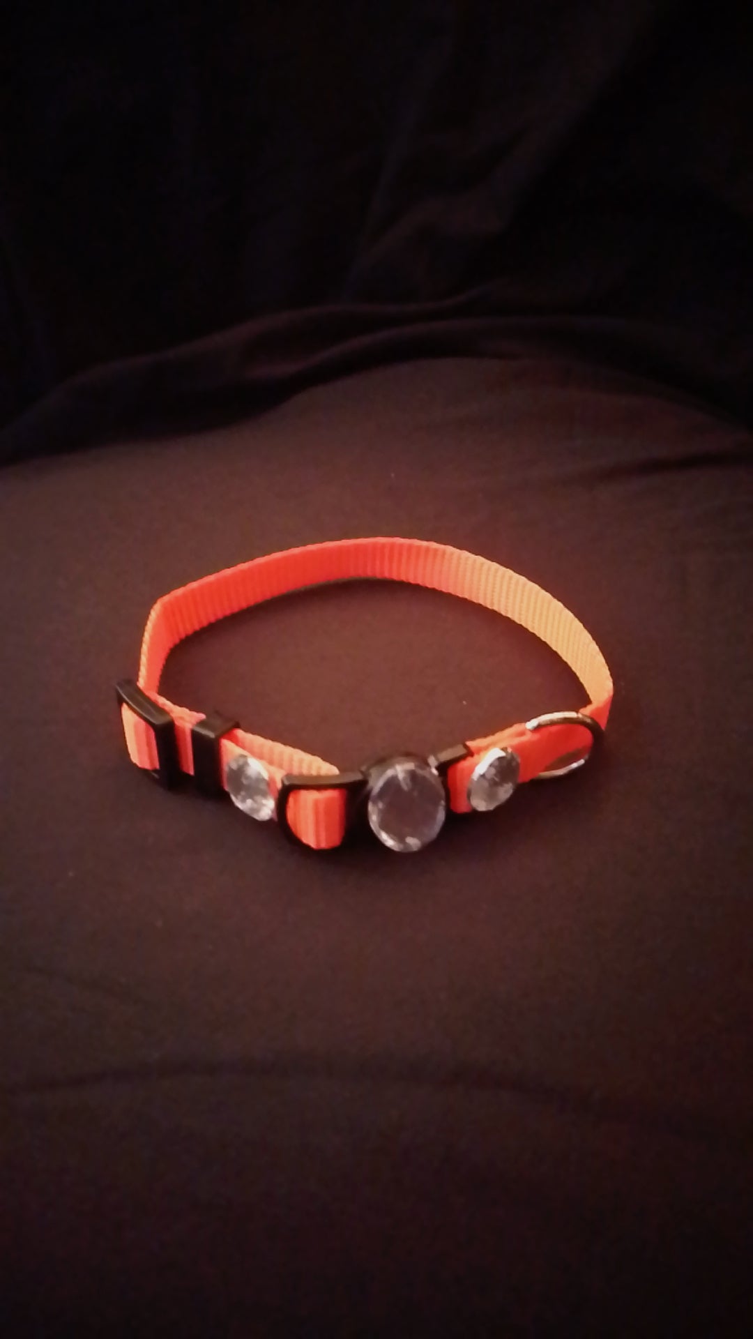 Crowned Walk  Gleam Jeweled Pet Collars