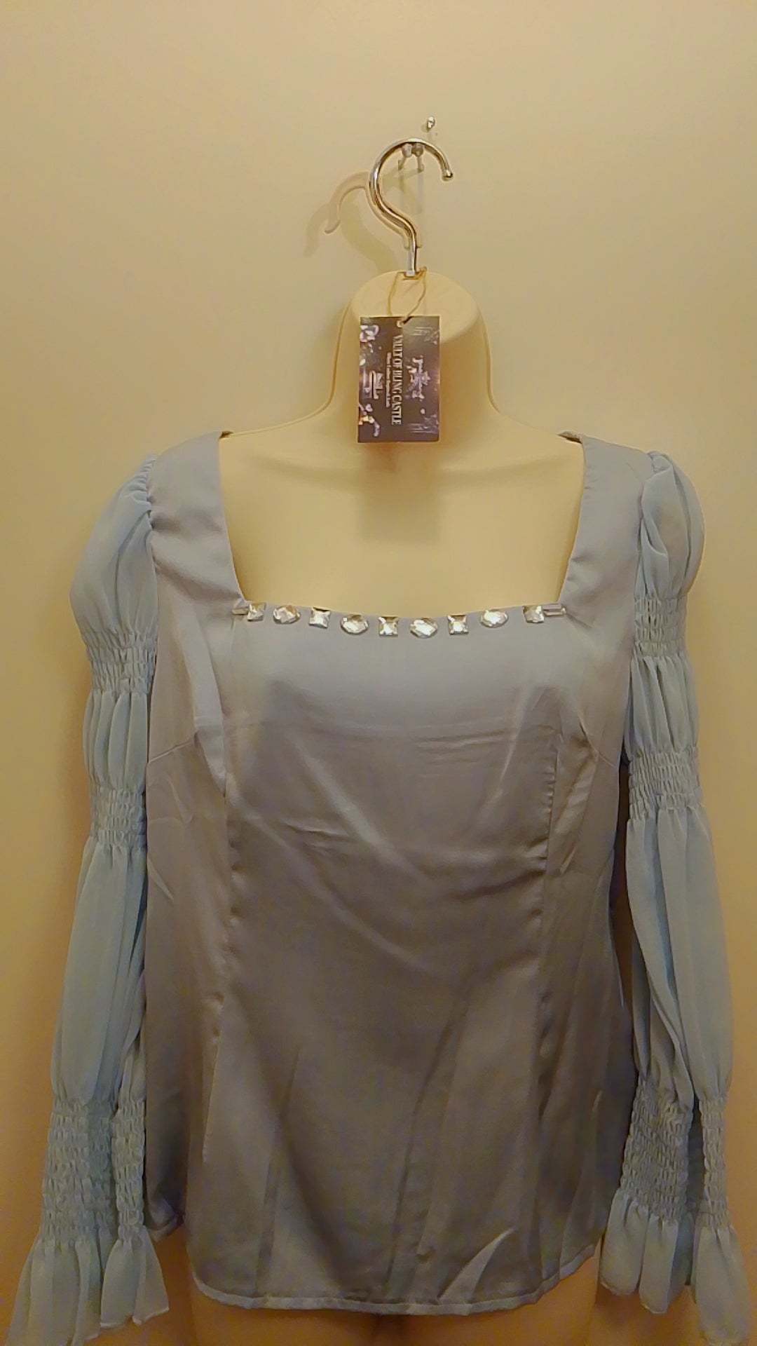 Artisanal Fine Choice Women's Chiffon Plunge Neck Blouse