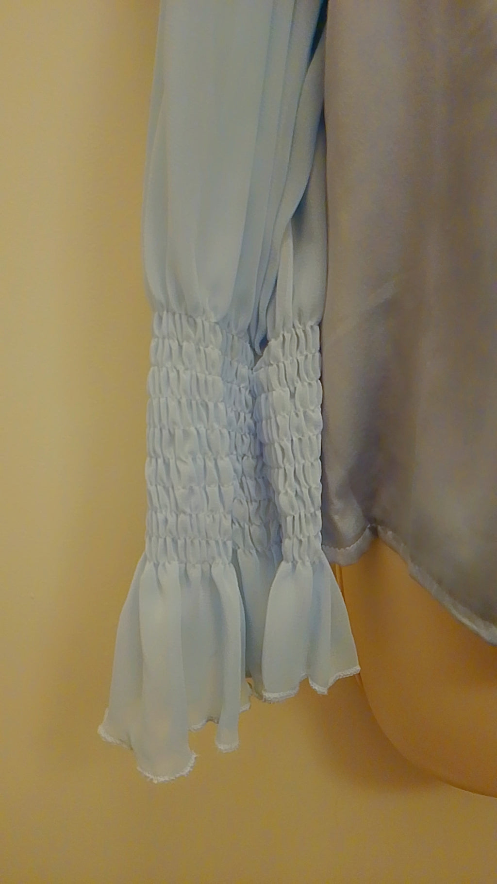 Artisanal Fine Choice Women's Chiffon Plunge Neck Blouse