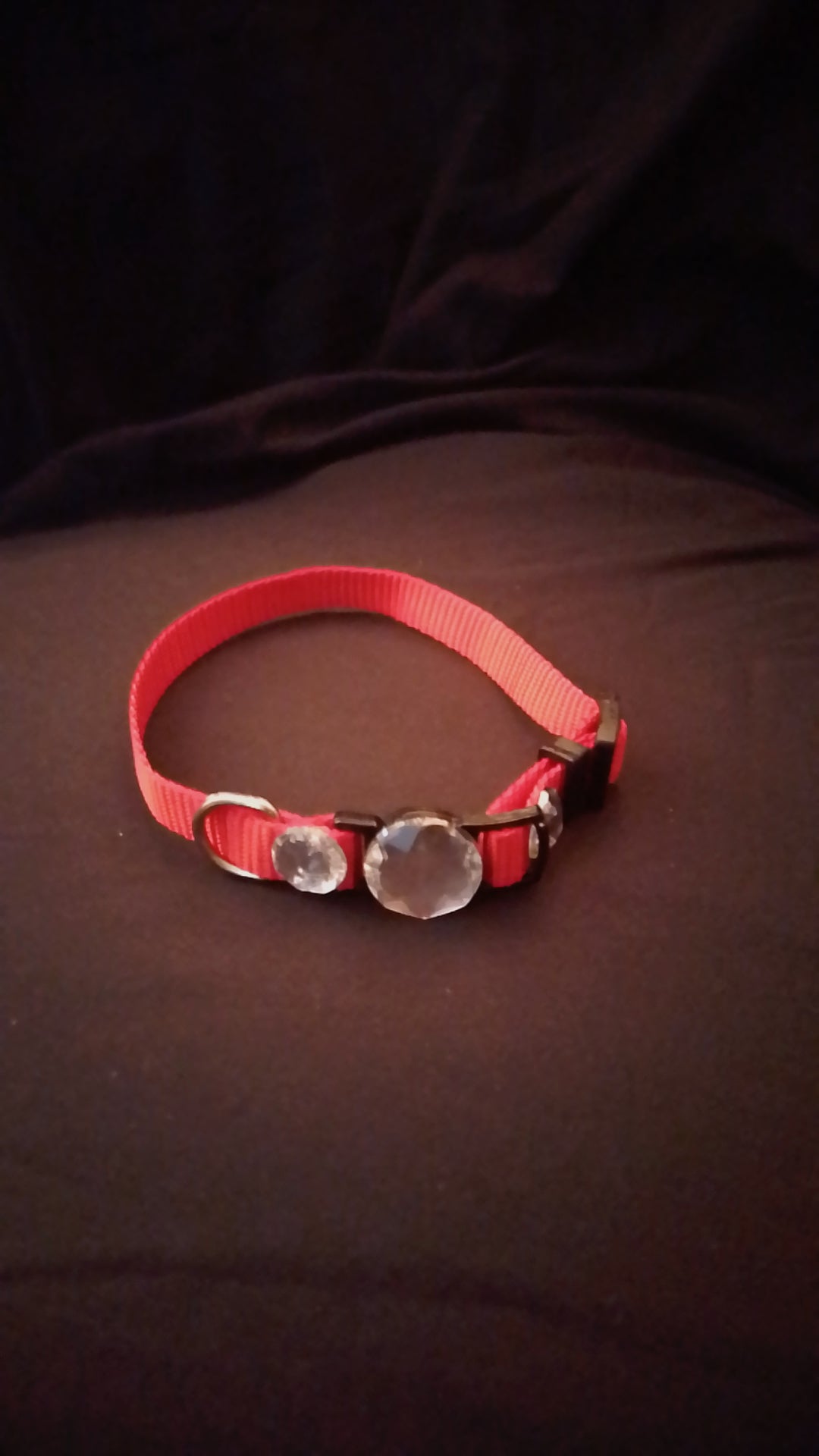 Crowned Walk  Gleam Jeweled Pet Collars