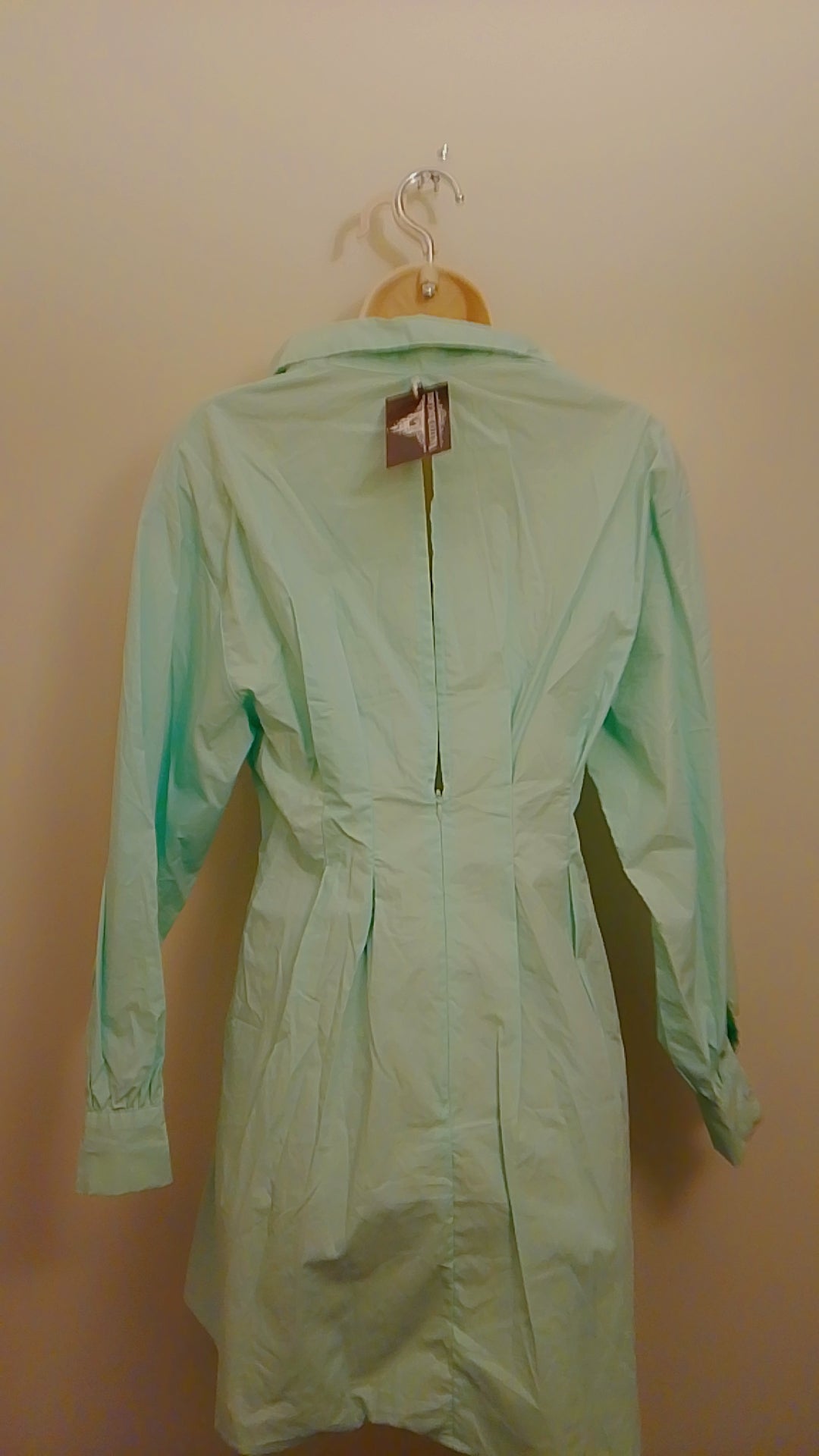 Pistachio Mint Green Caledon Pathway Blouse Dress