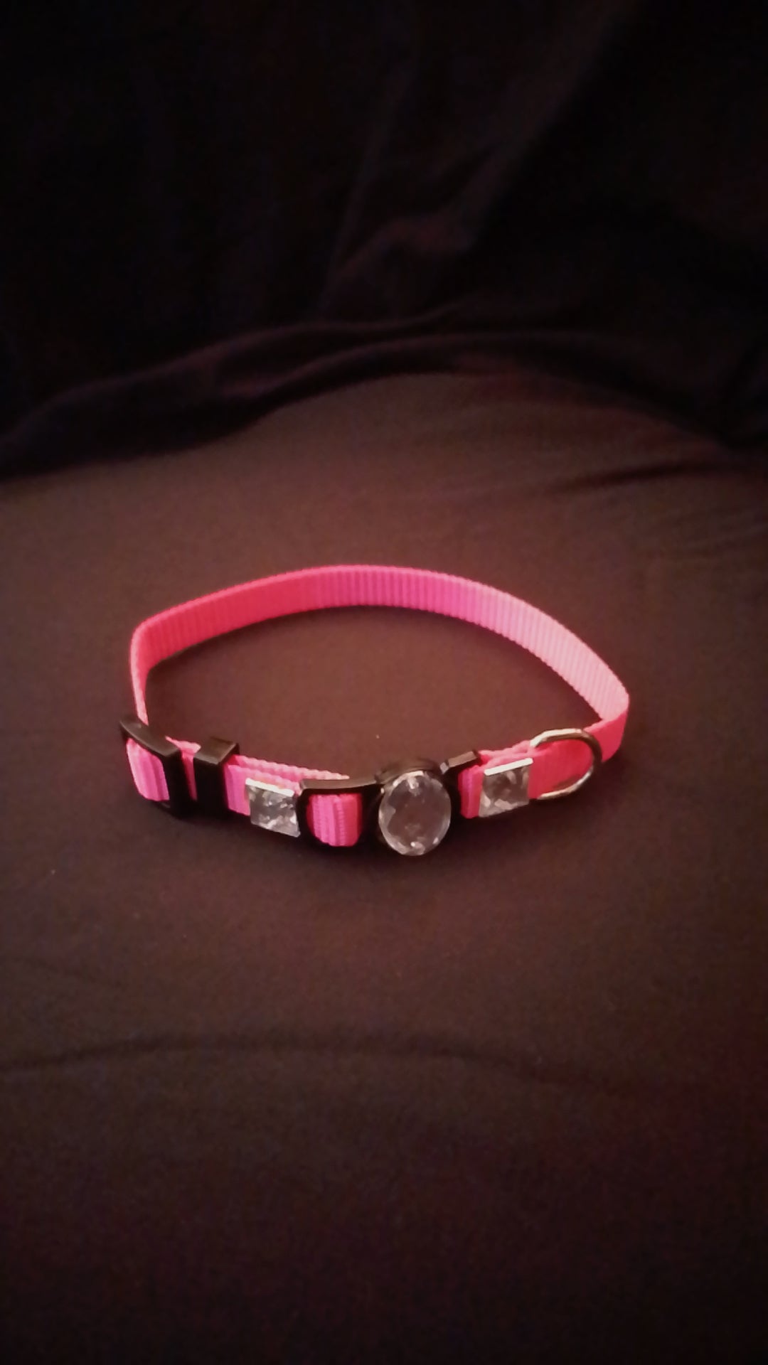 Crowned Walk  Gleam Jeweled Pet Collars