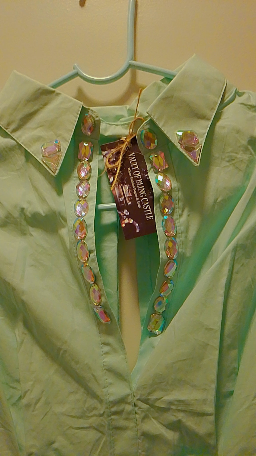 Pistachio Mint Green Caledon Pathway Blouse Dress