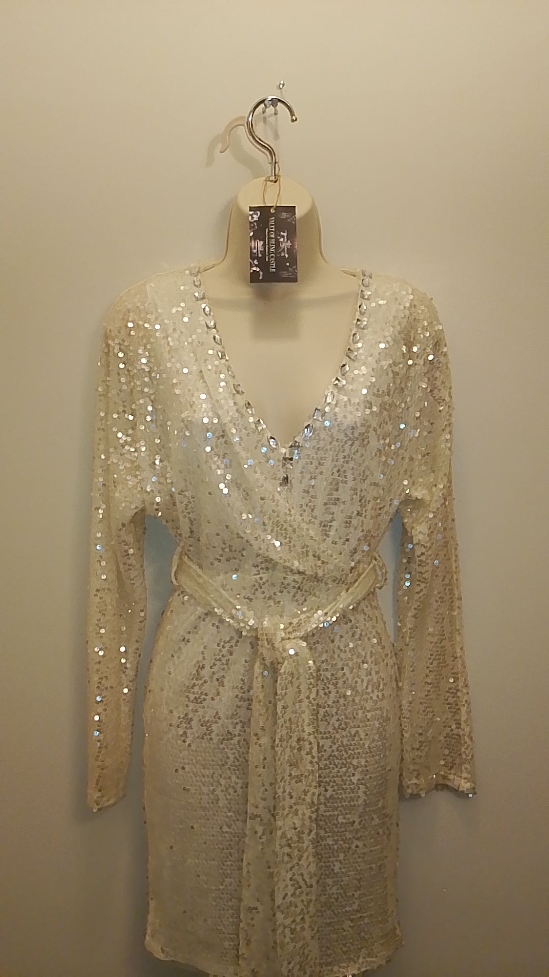 Reflection Of Light Sequin Women's Dress