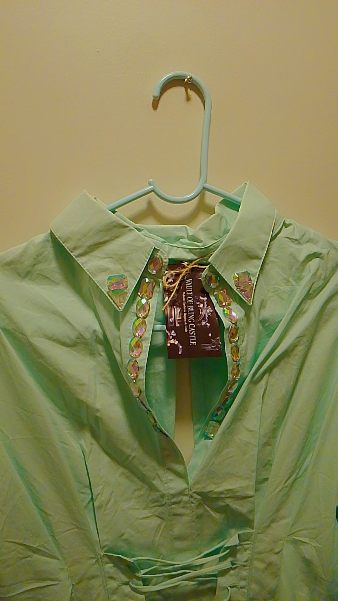 Pistachio Mint Green Caledon Pathway Blouse Dress