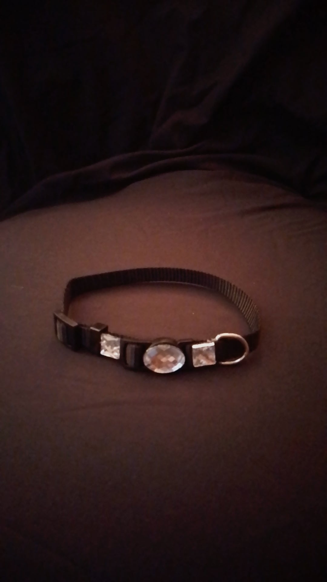 Crowned Walk  Gleam Jeweled Pet Collars