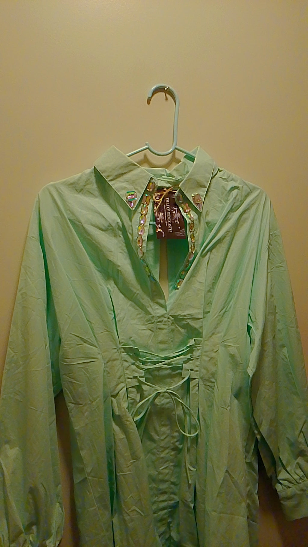 Pistachio Mint Green Caledon Pathway Blouse Dress