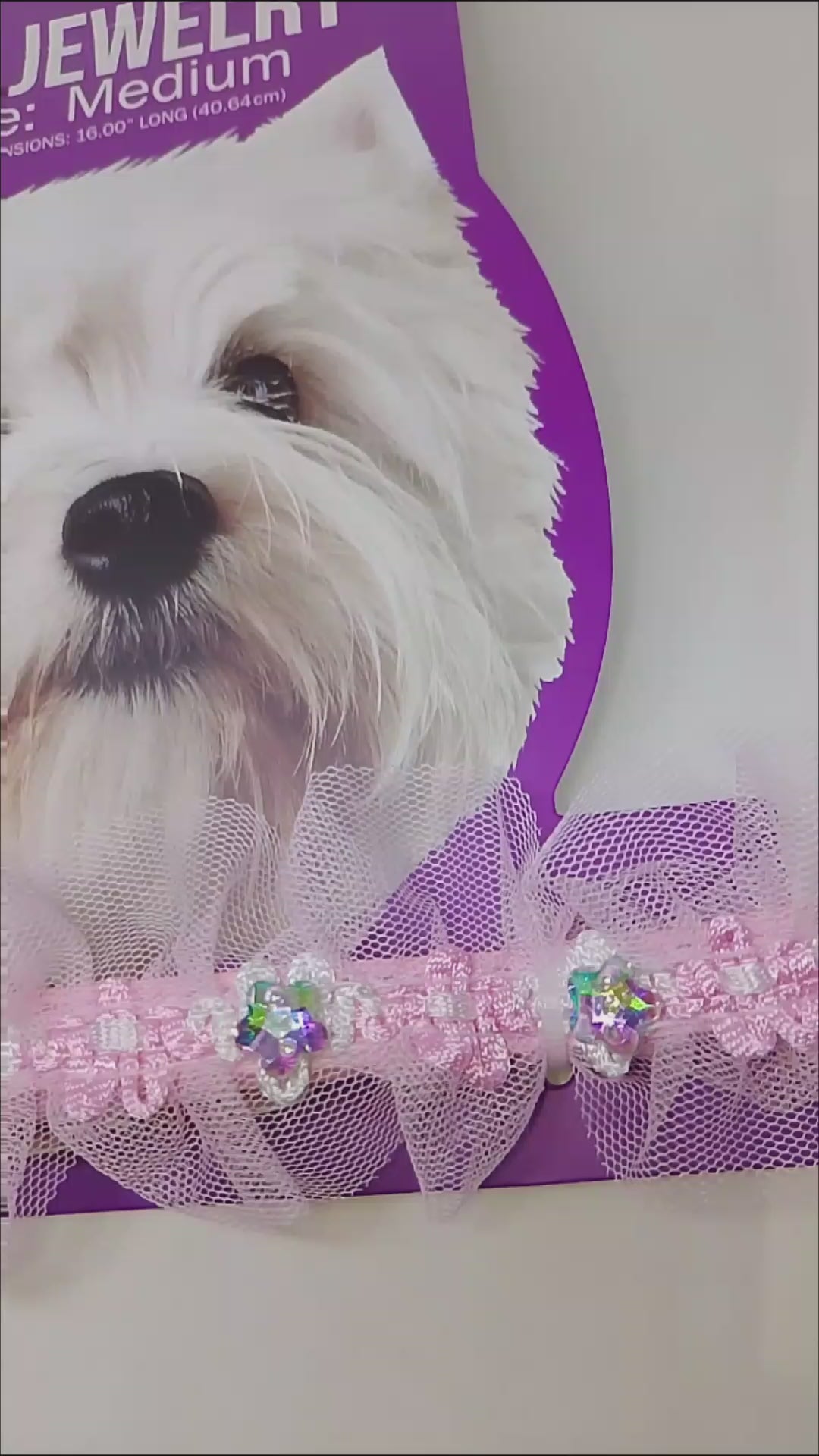 Bright & Happy Silkenpetal Fur Baby Pet Collar