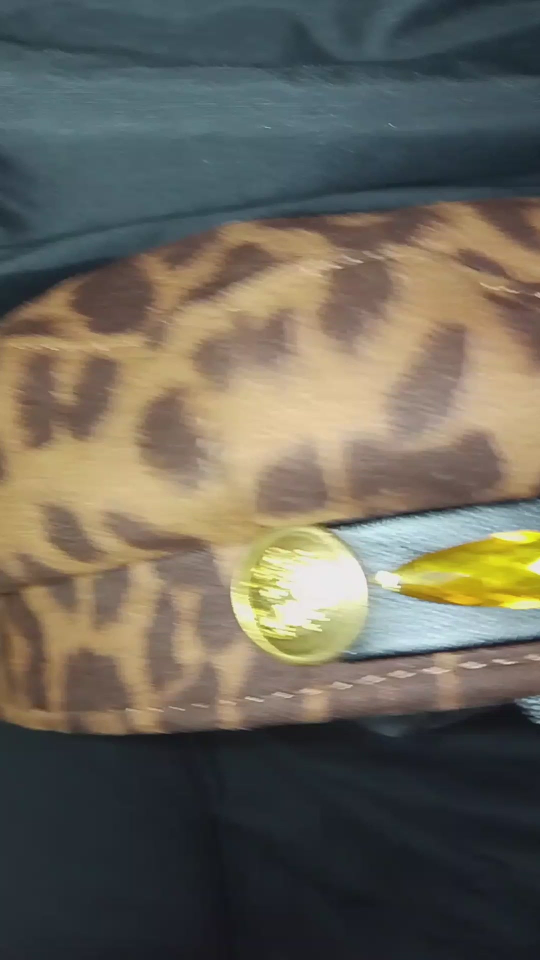 Classic Seductive Leopard Print Captain Hat