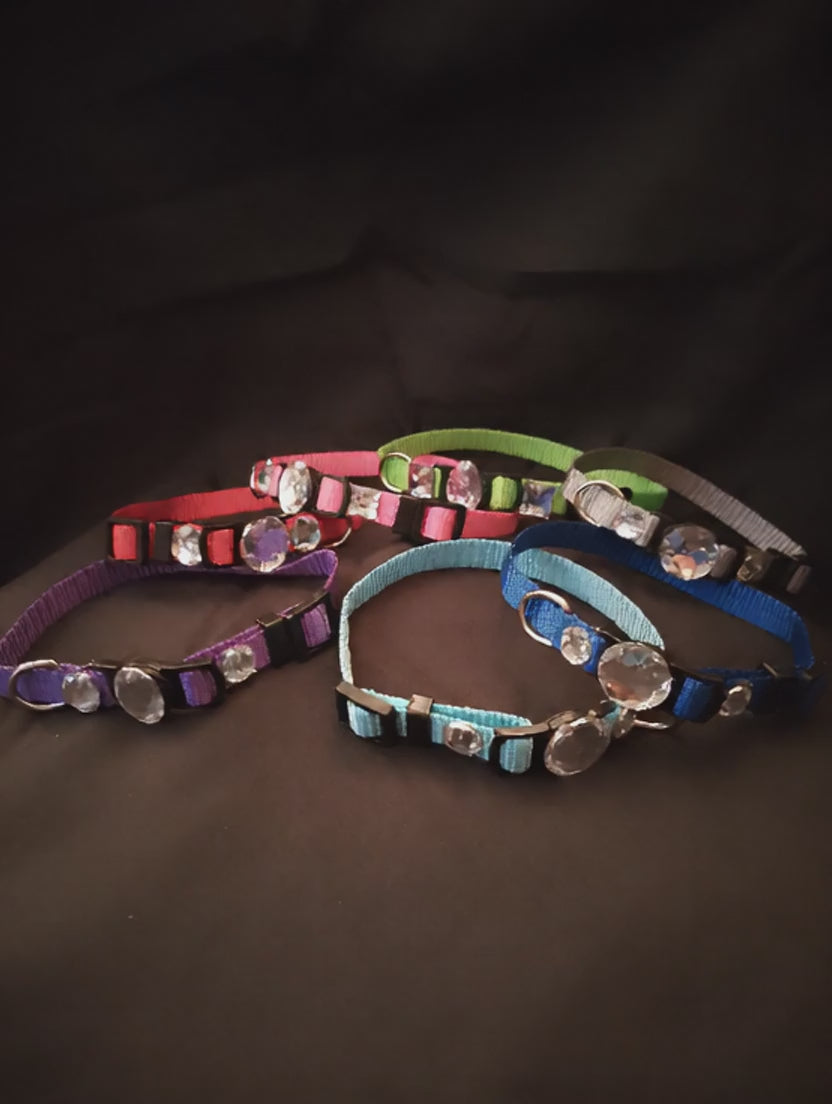 Crowned Walk  Gleam Jeweled Pet Collars
