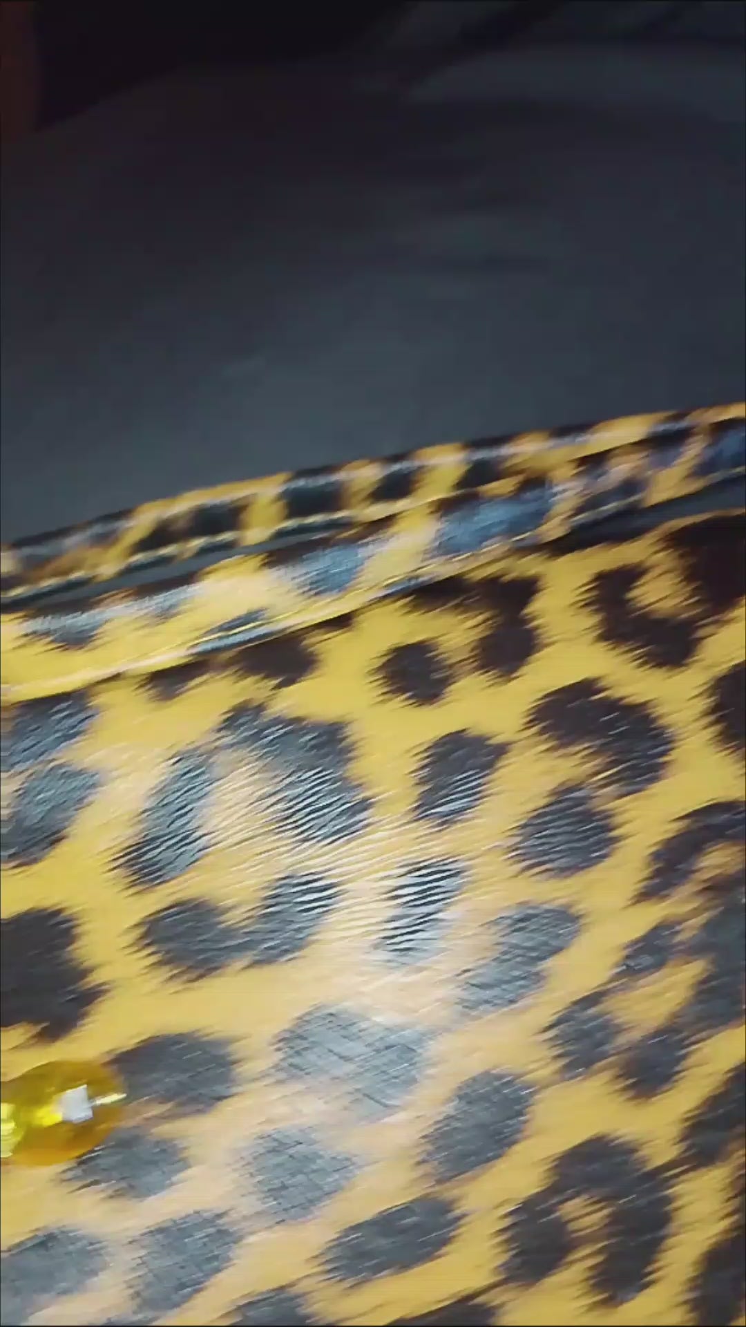 Disco Honey Leopard Clutch Hand Bag