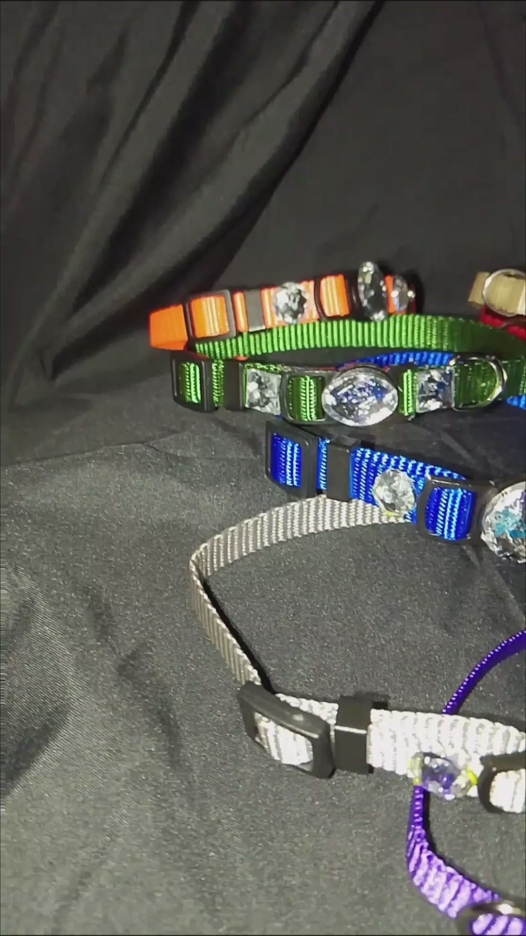 Crowned Walk  Gleam Jeweled Pet Collars